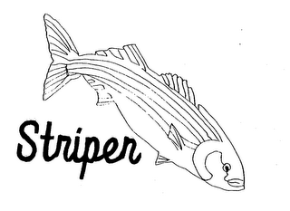 STRIPER logo