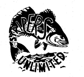 STRIPERS UNLIMITED logo