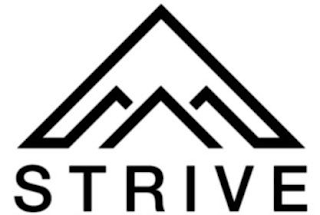 STRIVE logo