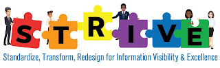 STRIVE STANDARDIZE, TRANSFORM, REDESIGN FOR INFORMATION VISIBILITY & EXCELLENCE logo