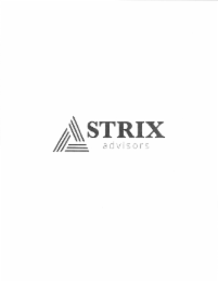 STRIX ADVISORS logo