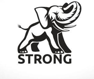 STRONG logo