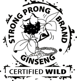 STRONG PRONG BRAND GINSENG CERTIFIED WILD logo