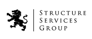 STRUCTURE SERVICES GROUP logo