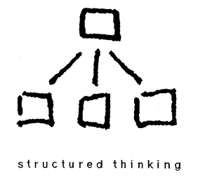 STRUCTURED THINKING logo
