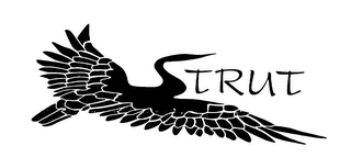 STRUT logo
