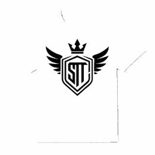 STT logo