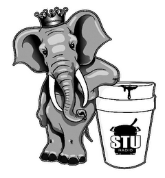 STU RADIO logo