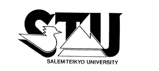STU SALEM-TEIKYO UNIVERSITY logo