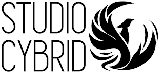 STUDIO CYBRID logo