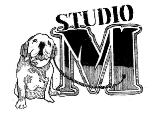 STUDIO M logo