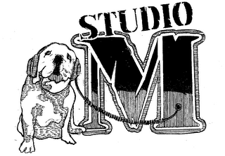 STUDIO M logo