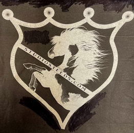 STUDIOSTEEDS logo
