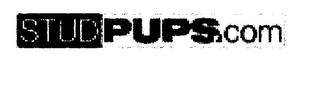 STUDPUPS.COM logo