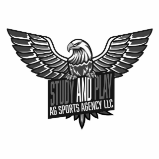 STUDY AND PLAY AG SPORTS AGENCY LLC logo