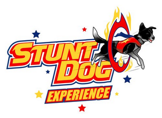 STUNT DOG EXPERIENCE logo