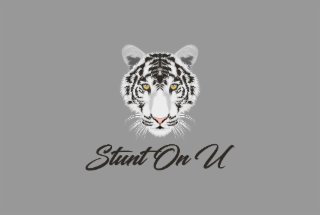 STUNT ON U logo