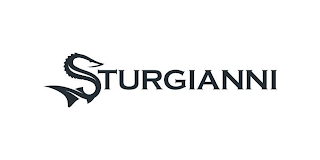 STURGIANNI logo