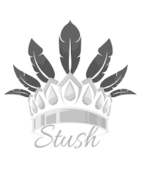 STUSH logo