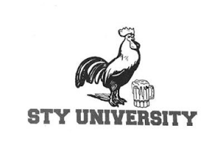 STY UNIVERSITY logo