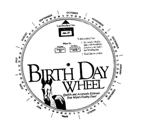 STYLIZED TYPOGRAPHY OF THE BIRTH DAY WHEEL, PLUS DESIGN IMAGE OF A BABY HORSE (FOAL) logo