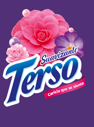 SUAVIZANTE TERSO CARICIA QUE SE SIENTE logo