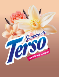 SUAVIZANTE TERSO CARICIA QUE SE SIENTE logo