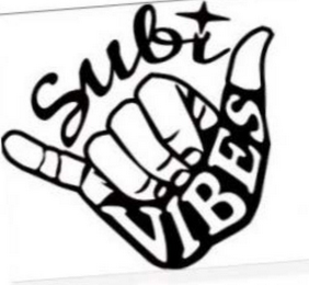 SUBI VIBES logo