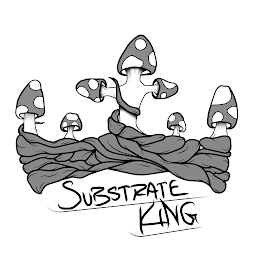 SUBSTRATE KING logo