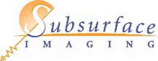 SUBSURFACE IMAGING logo