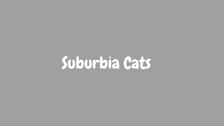 SUBURBIA CATS logo