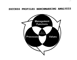 SUCCESS PROFILES BENCHMARKING ANALYSIS MANAGEMENT FUNCTIONS PROCESSES VALUES BEST PRACTICES logo