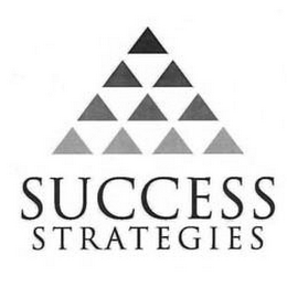 SUCCESS STRATEGIES logo