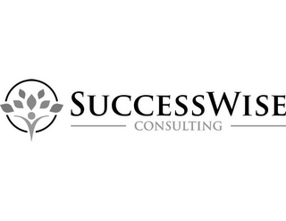 SUCCESSWISE CONSULTING logo