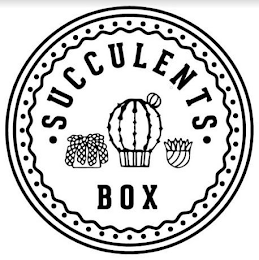 SUCCULENTS BOX logo