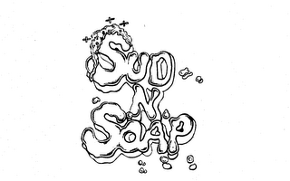 SUD-N-SOAP logo