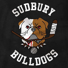 SUDBURY BULLDOGS logo