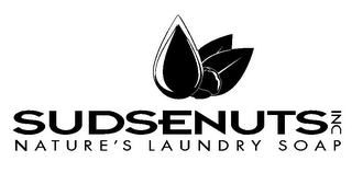 SUDSENUTS INC NATURE'S LAUNDRY SOAP logo