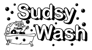 SUDSY WASH logo