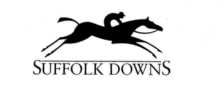 SUFFOLK DOWNS logo