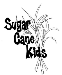 SUGAR CANE KIDS logo