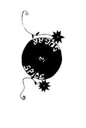 SUGAR & SPICE logo