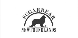 SUGARBEAR NEWFOUNDLANDS logo
