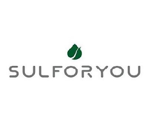 SULFORYOU logo