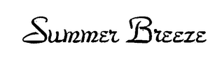 SUMMER BREEZE logo