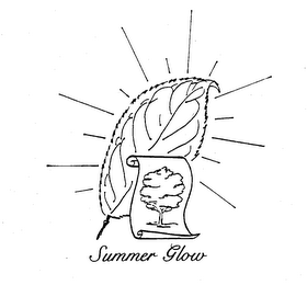 SUMMER GLOW logo