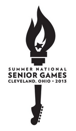 SUMMER NATIONAL SENIOR GAMES CLEVELAND, OHIO * 2013 logo