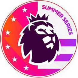 SUMMER SERIES logo
