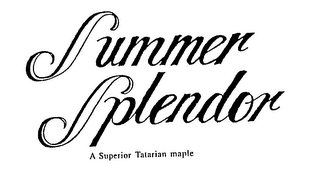 SUMMER SPLENDOR A SUPERIOR TATARIAN MAPLE logo