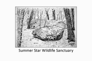 SUMMER STAR WILDLIFE SANCTUARY logo
